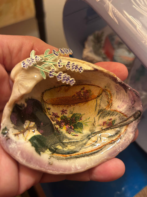 Assateague Md quahog clam shell trinket dish