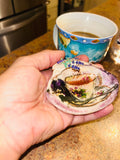 Assateague Md quahog clam shell trinket dish