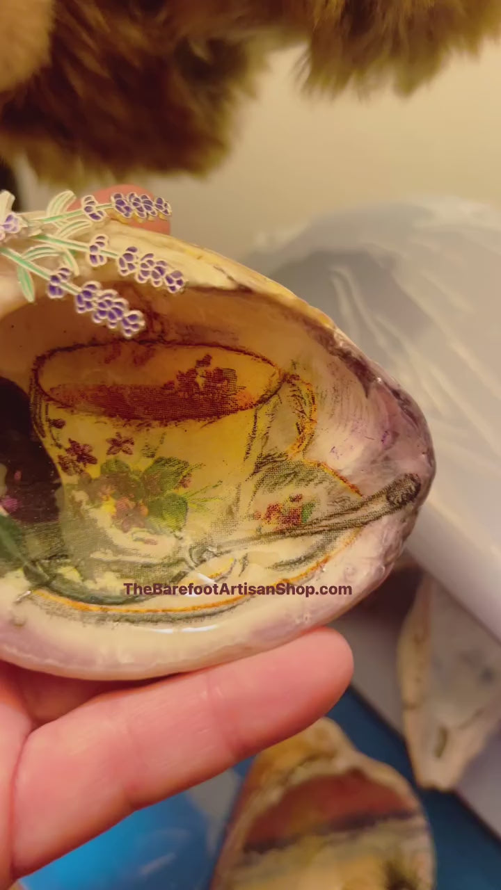 Assateague Md quahog clam shell trinket dish